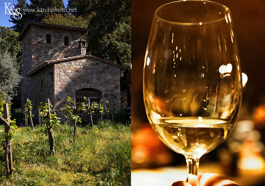 Dallas Wedding Photographers - K & S Photography Wine Tasting in Napa Valley California | Napa Valley and Dallas Wedding Photographers